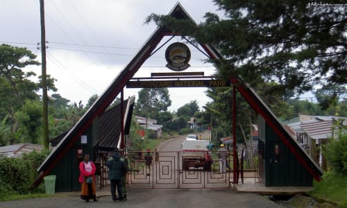 Marangu Gate Mount Kilimanjaro, Tanzania