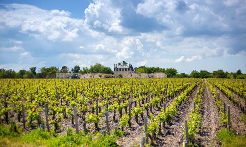 Medoc Peninsula Bordeaux