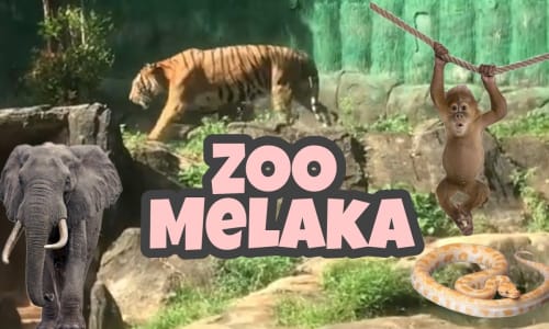 Melaka Zoo Melaka