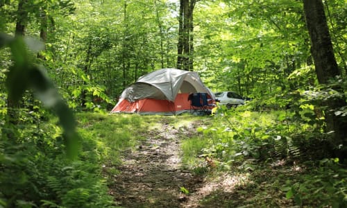 Mongaup Pond Campground Monticello Ny