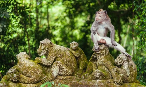 Monkey Forest Bali, Indonesia