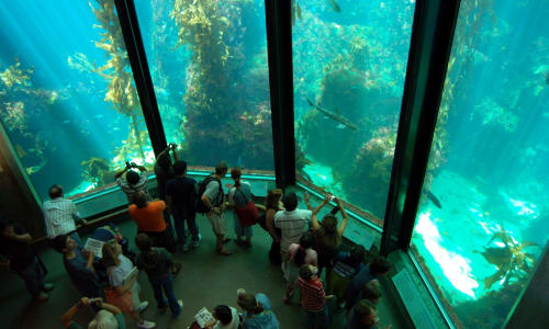 Monterey Bay Aquarium California