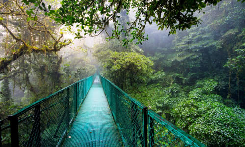 Monteverde Cloud Forest Reserve Azorescosta Rica