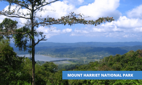Mount Harriet National Park Andaman And Nicobar Islands, India