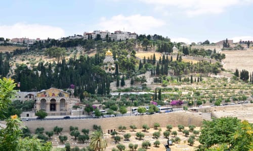 Mount of Olives Israel