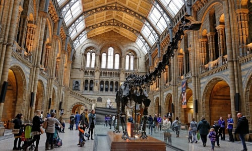 Natural History Museum London, England