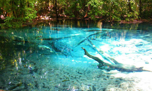 Natural pool Amazon Rainforest, Brazil