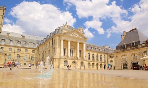 Palace of the Dukes and Estates of Burgundy Dijon
