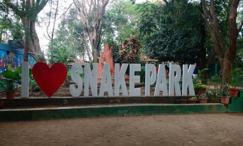 Parassinikadavu Snake Park Kannur