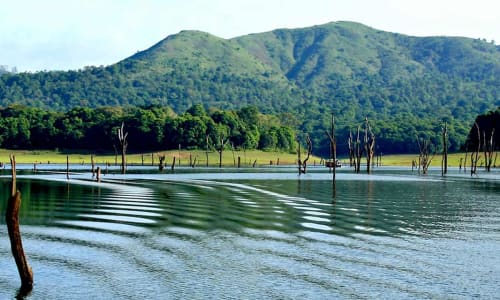 Periyar Lake Kerala, India