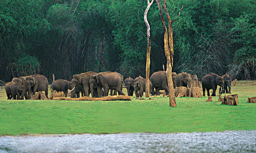 Periyar Wildlife Sanctuary Poopara