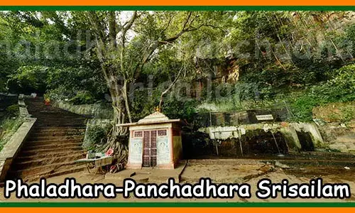 Phaladhara Panchadhara Srisailam