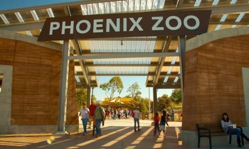 Phoenix Zoo Arizona