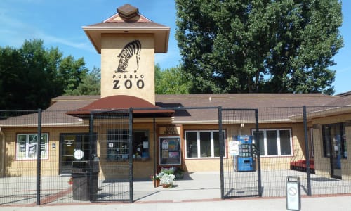 Pueblo Zoo Pueblo Co