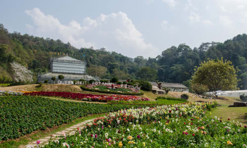 Queen Sirikit Botanic Garden Chiang Mai, Thailand