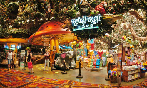 Rainforest Cafe Las Vegas