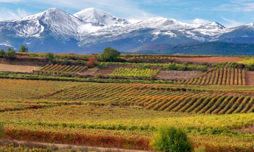 Rioja Wine Region España