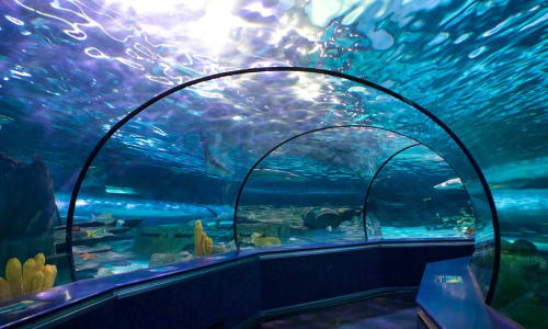 Ripley's Aquarium Myrtle Beach, Sc