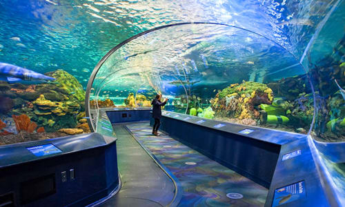 Ripley's Aquarium of Canada Toronto, Canada