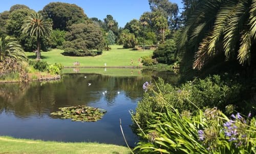 Royal Botanic Gardens Melbourne, Australia