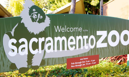 Sacramento Zoo Sacramento