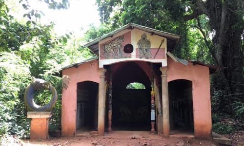 Sacred Forest of Kpasse Cotonou