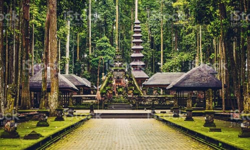 Sacred Monkey Forest Sanctuary in Ubud Bali