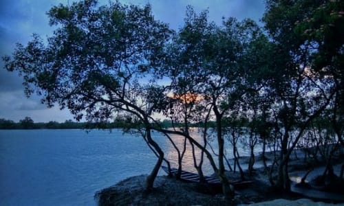 Sajnekhali Watchtower Sundarbans National Park, India