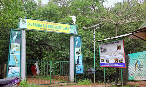 Salim Ali Bird Sanctuary Goa