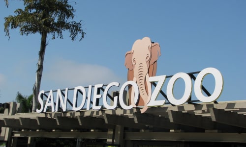 San Diego Zoo San Diego, California, Usa