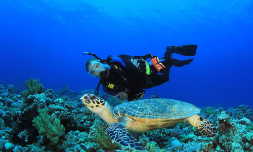 Scuba diving Maldives