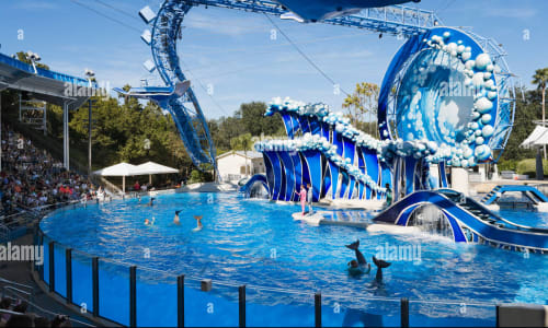 SeaWorld Orlando, Florida, Usa