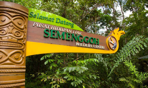 Semenggoh Wildlife Centre Kuching