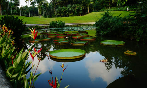 Singapore Botanic Gardens Singapore