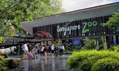 Singapore Zoo Singapore