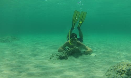 Snorkeling Menorca