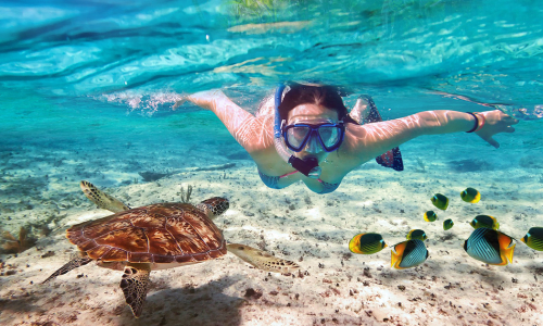 Snorkeling in Cancun Cancun