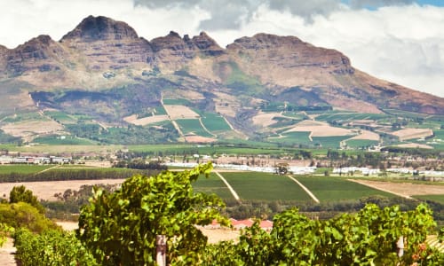 Stellenbosch (wine region) Cape Town, South Africa
