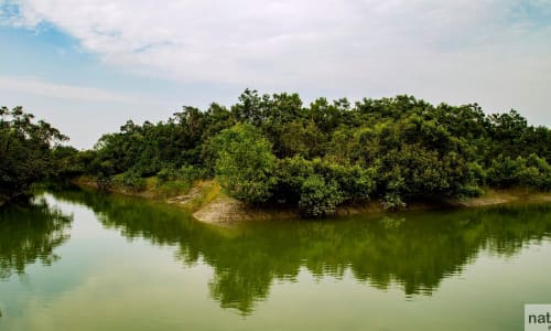 Sundarbans National Park, India