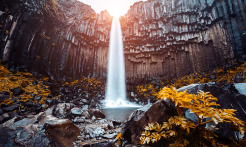 Svartifoss waterfall Ring Road, Iceland