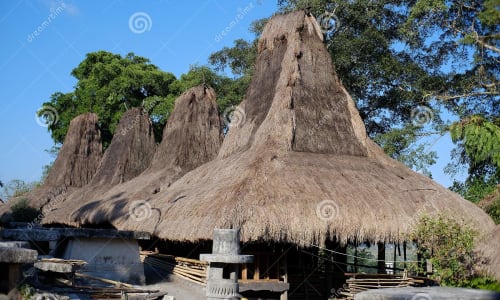 Tarung Traditional Village Sumba