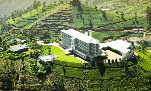 Tea factory Sri Lanka