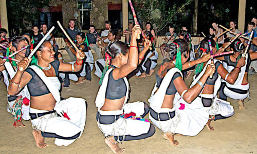 Tharu cultural dance performance Nepal
