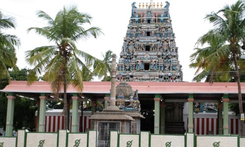Thiru Avinankudi Temple Palani
