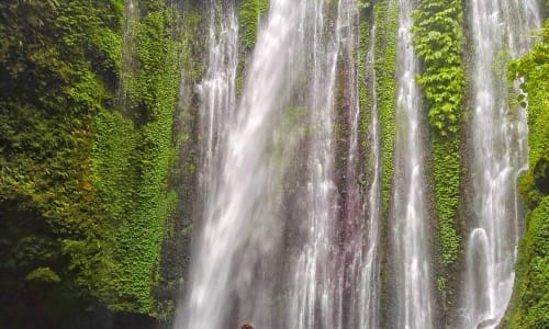 Tiu Kelep Waterfall Indonesia