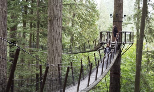 Treetop Walkways Vancouver, Canada