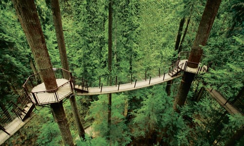 Treetops Adventure Vancouver
