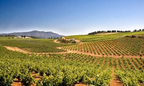 Utiel-Requena region wineries Castellon,  Spain