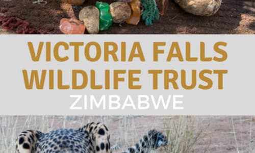 Victoria Falls Wildlife Trust Zimbambe