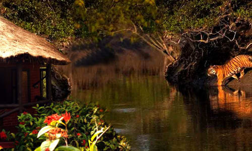 Village tour Sundarbans National Park, India